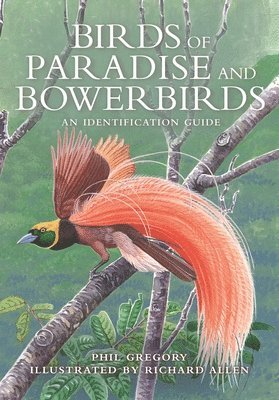 bokomslag Birds Of Paradise And Bowerbirds
