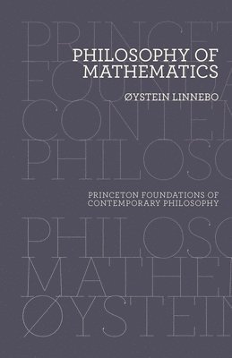 bokomslag Philosophy of Mathematics