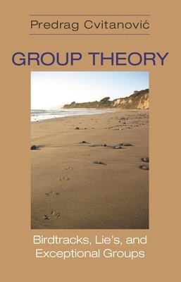 bokomslag Group Theory