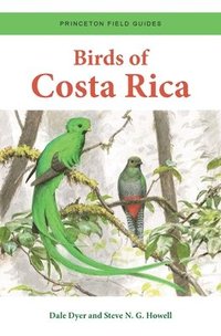 bokomslag Birds of Costa Rica