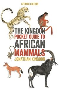 bokomslag The Kingdon Pocket Guide to African Mammals