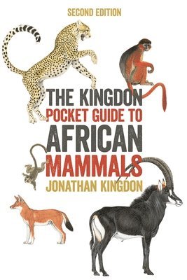 bokomslag The Kingdon Pocket Guide to African Mammals