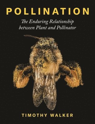 Timothy Walker - Pollination, Inbunden
