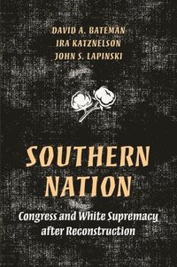 bokomslag Southern Nation