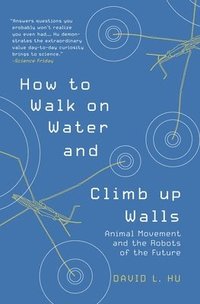 bokomslag How to Walk on Water and Climb up Walls