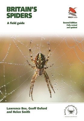 bokomslag Britain's Spiders