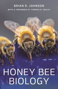 bokomslag Honey Bee Biology