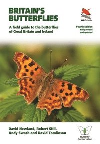bokomslag Britain's Butterflies