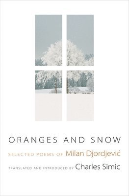 bokomslag Oranges and Snow