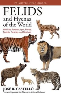 bokomslag Felids and Hyenas of the World