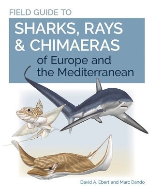 David A. Ebert, Marc Dando - Field Guide to Sharks, Rays & Chimaeras of Europe and the Mediterranean, Häftad