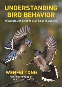 bokomslag Understanding Bird Behavior