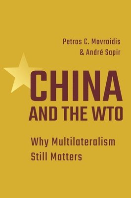 bokomslag China and the WTO