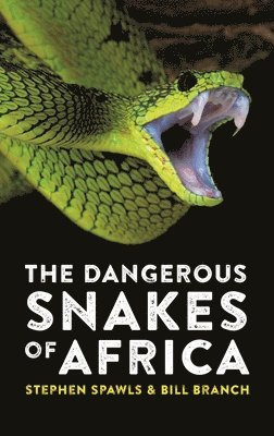 bokomslag The Dangerous Snakes of Africa