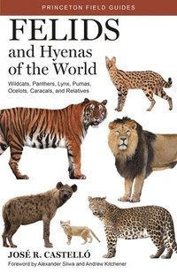 bokomslag Felids and Hyenas of the World