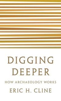 bokomslag Digging Deeper