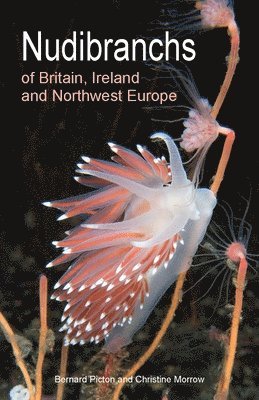 Nudibranchs of Britain, Ireland and Northwest Europe 1