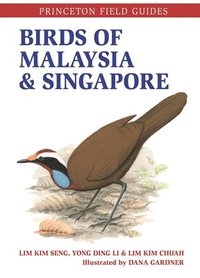 bokomslag Birds Of Malaysia And Singapore