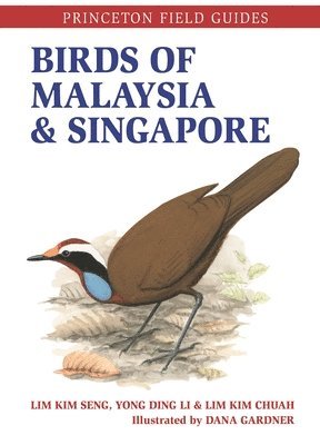 Birds Of Malaysia And Singapore 1