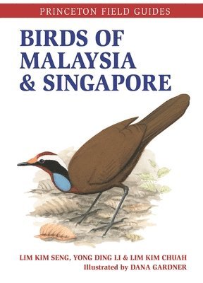 Lim Kim Seng, Ding Li Yong, Lim Kim Chuah - Birds of Malaysia and Singapore, Häftad