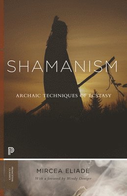 bokomslag Shamanism