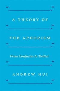 bokomslag A Theory of the Aphorism