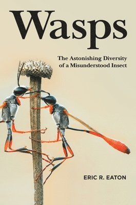 bokomslag Wasps