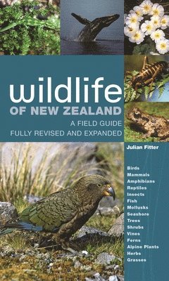 bokomslag Wildlife of New Zealand: A Field Guide Fully Revised and Expanded