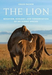 bokomslag The Lion