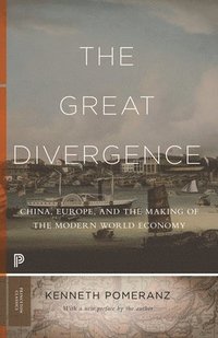 bokomslag The Great Divergence: China, Europe, and the Making of the Modern World Economy
