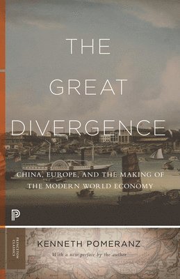 bokomslag The Great Divergence