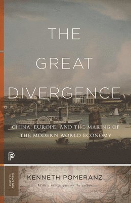 The Great Divergence 1