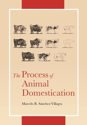 The Process of Animal Domestication 1