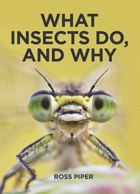 Ross Piper - What Insects Do, and Why, Inbunden