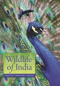 bokomslag Wildlife of India