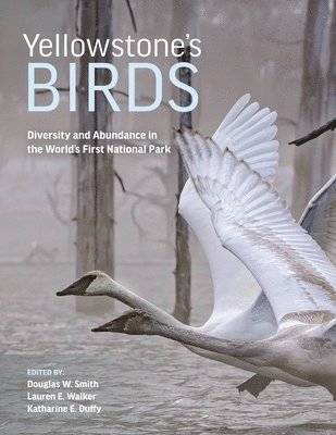 Douglas W. Smith, Lauren E. Walker, Katharine E. Duffy - Yellowstone’s Birds, Inbunden