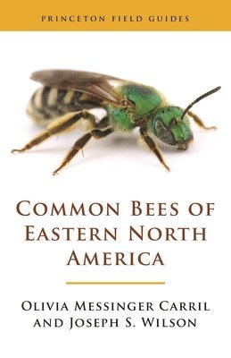 Olivia Messinger Carril, Joseph S. Wilson - Common Bees of Eastern North America, Inbunden