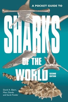 David A. Ebert, Marc Dando, Sarah Fowler - Pocket Guide to Sharks of the World, Häftad