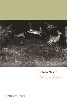 The New World 1