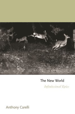 Anthony Carelli - New World, Inbunden