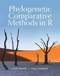 bokomslag Phylogenetic Comparative Methods in R