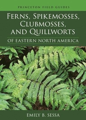 Ferns, Spikemosses, Clubmosses, and Quillworts of Eastern North America 1