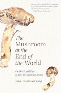 bokomslag The Mushroom at the End of the World: On the Possibility of Life in Capitalist Ruins