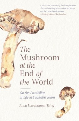 Anna Lowenhaupt Tsing - Mushroom at the End of the World, Häftad