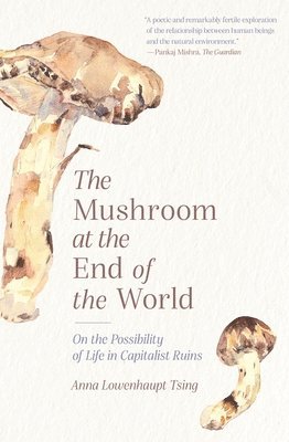 bokomslag The Mushroom at the End of the World