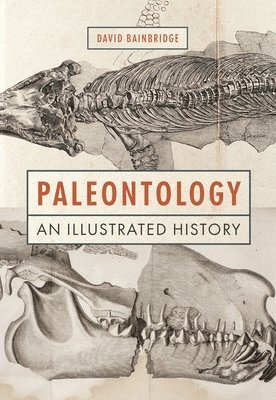 David Bainbridge - Paleontology, Inbunden