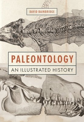 Paleontology 1