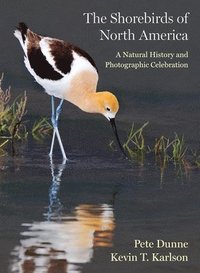 bokomslag The Shorebirds of North America