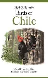 bokomslag Field Guide to the Birds of Chile