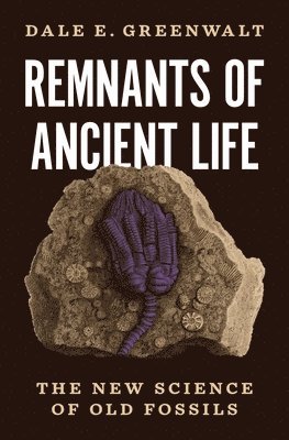 Remnants of Ancient Life 1